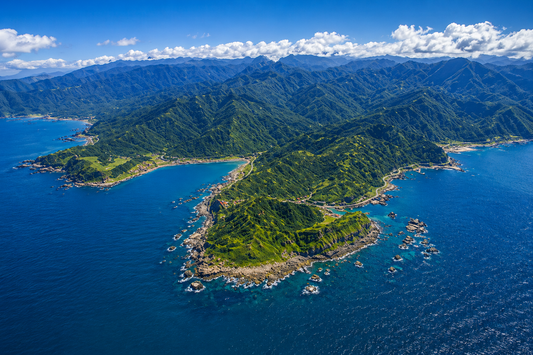 Aerial view of Taiwan’s coastline and green mountains representing the origin of premium Taiwanese tea